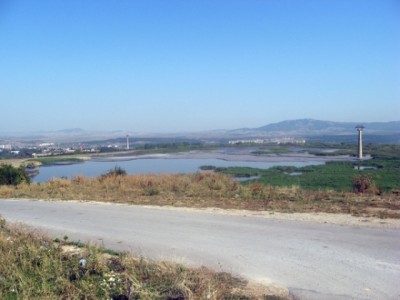Калкас