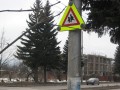 Полиция