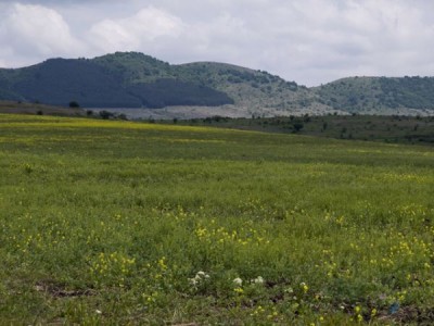 Реколта